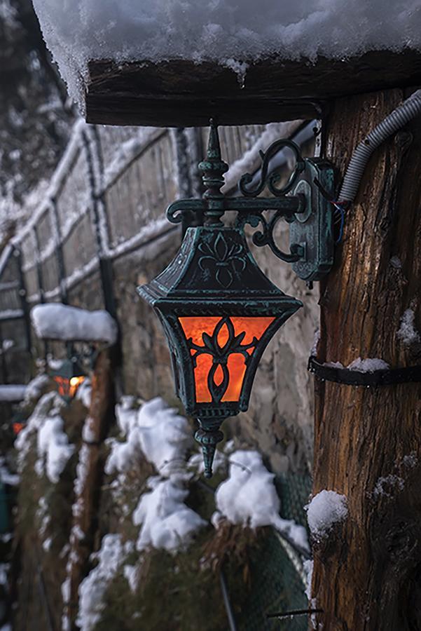 Meena Bagh Shimla Eksteriør billede